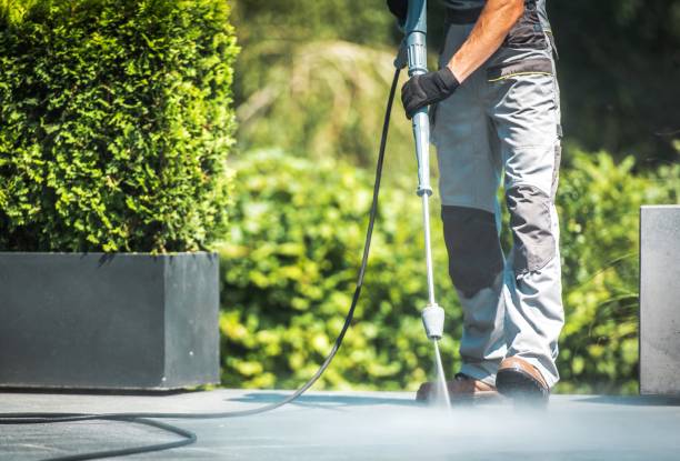 Monte Alto, TX Pressure washing Company